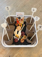 Garden Sensory kit